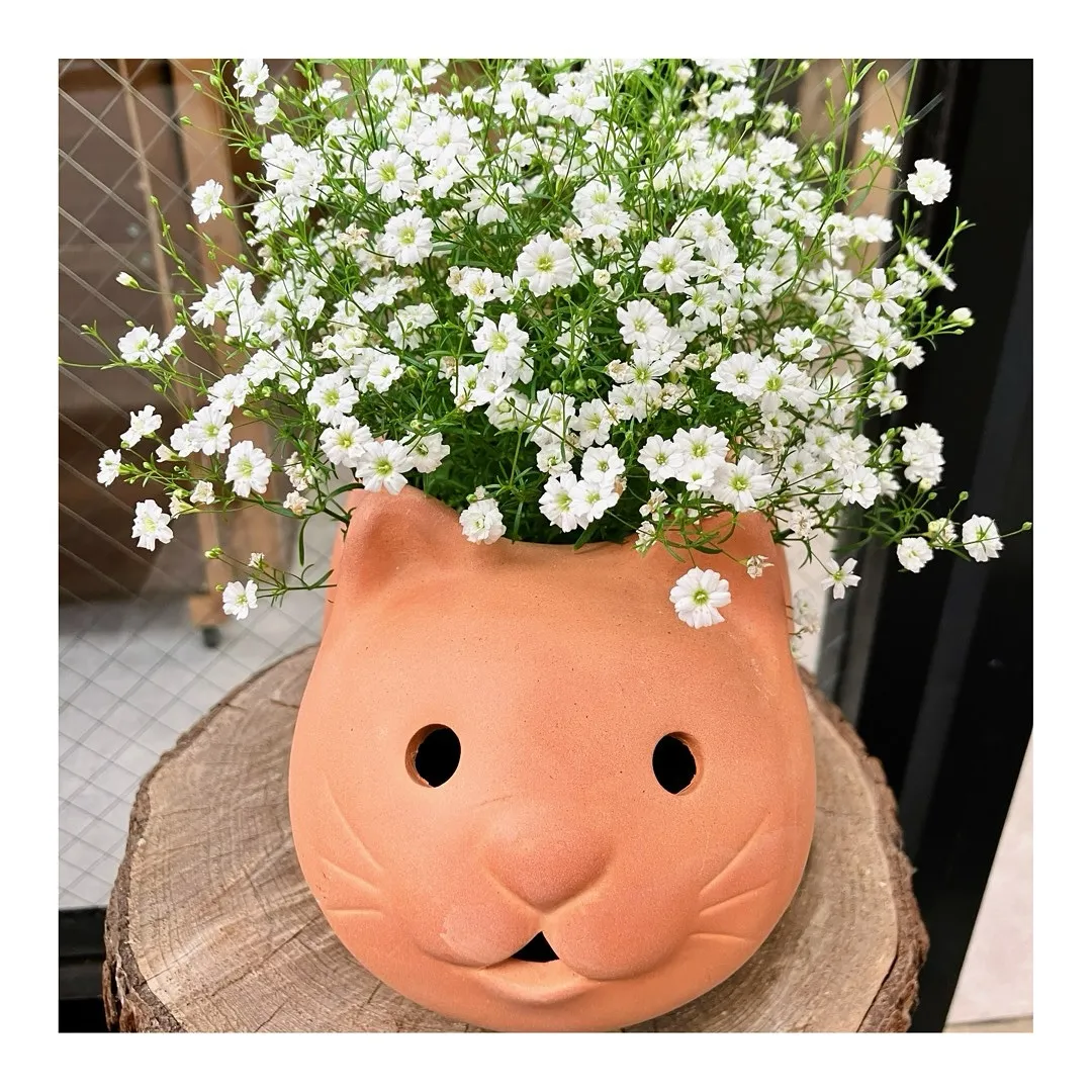 気圧も低め、風はなく、雲はしっかり、湿度は高い。