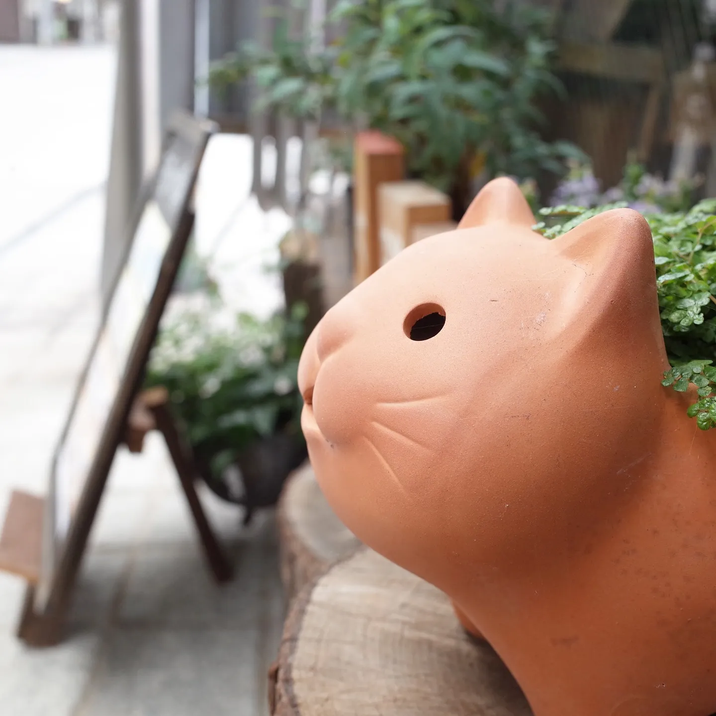 3連休だし！夏休みだし！最高ですね！