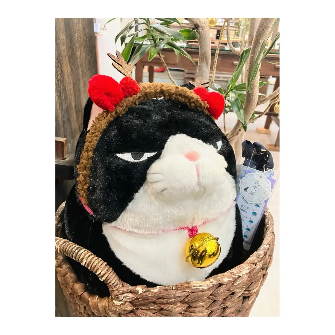 新月の夜ですね