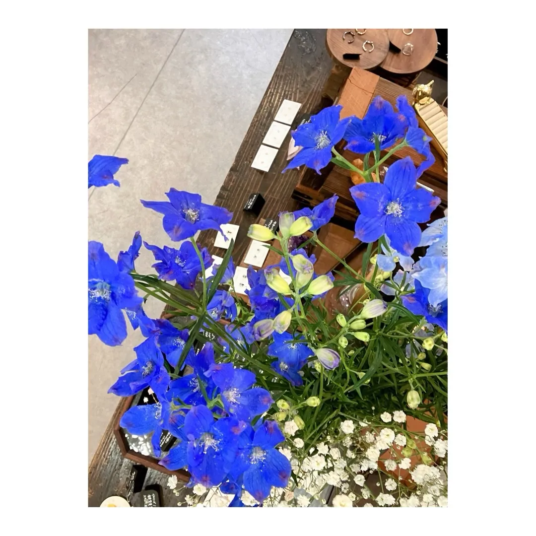 この週末は、みなと祭りでとってもわっしょいな尾道です！ご当地...