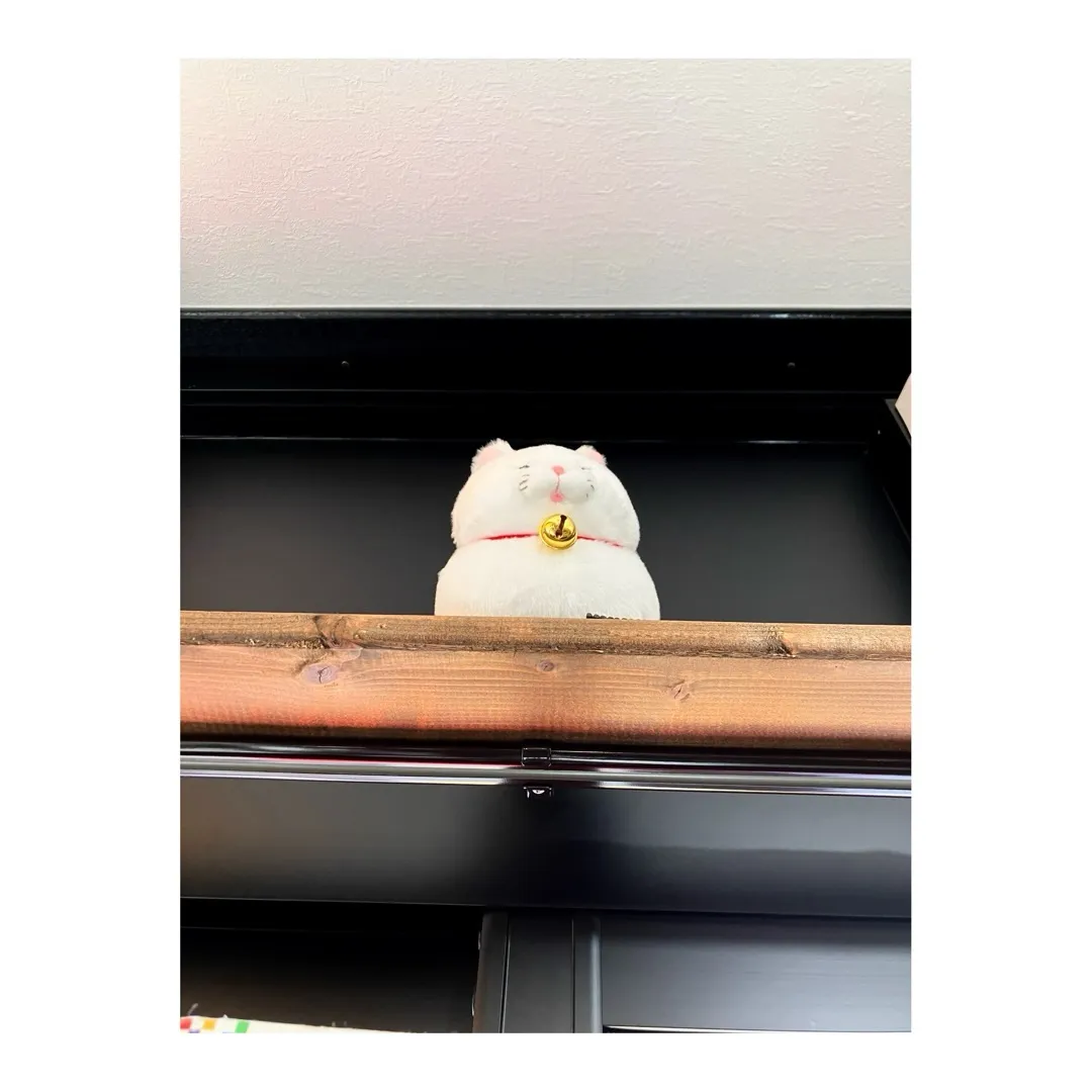 この週末は、みなと祭りでとってもわっしょいな尾道です！ご当地...