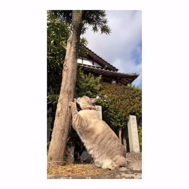 初詣ののち、お山の路地にて。